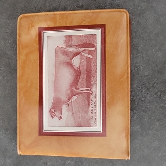 Remelon Plastic Wallet Featuring Jersey Cow Farmer, Vintage - Picture 2 of 10